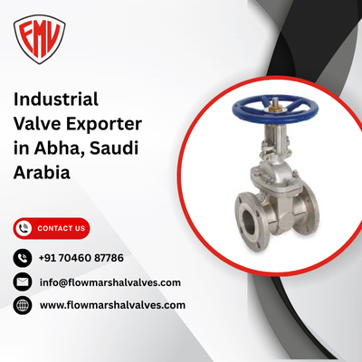 Industrial Valve Exporter in Abha, Saudi Arabia