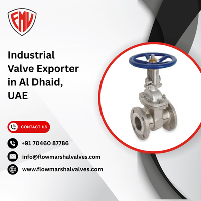 Industrial Valve Exporter in Al Dhaid, UAE