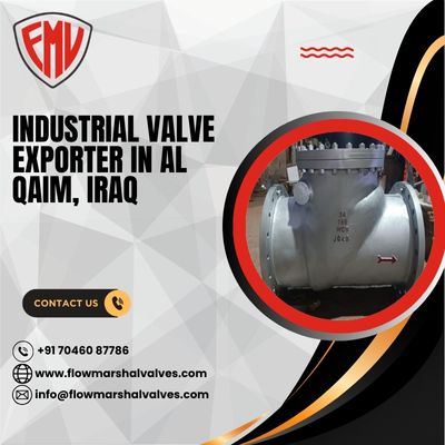 Industrial Valve Exporter in Al Qaim, Iraq