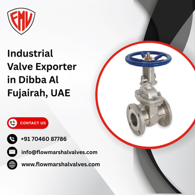 Industrial Valve Exporter in Dibba Al Fujairah, UAE