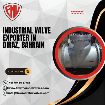 Industrial Valve Exporter in Diraz, Bahrain