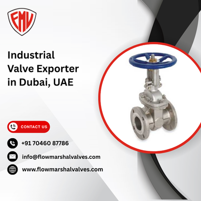 Industrial Valve Exporter in Dubai, UAE