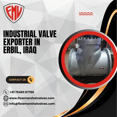 Industrial Valve Exporter in Erbil, Iraq