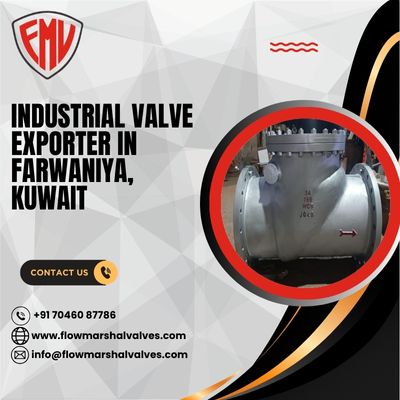 Industrial Valve Exporter in Farwaniya, Kuwait