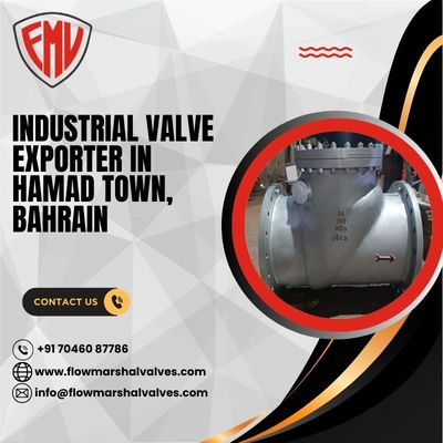 Industrial Valve Exporter in Hamad Town, Bahrain