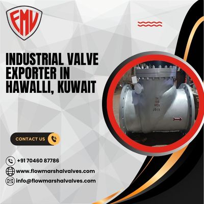 Industrial Valve Exporter in Hawalli, Kuwait