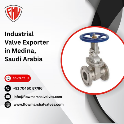 Industrial Valve Exporter in Medina, Saudi Arabia