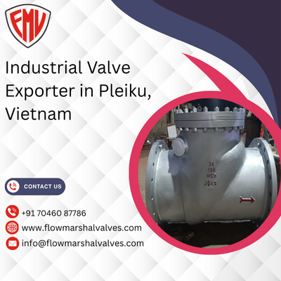 Industrial Valve Exporter in Pleiku, Vietnam