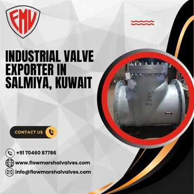 Industrial Valve Exporter in Salmiya, Kuwait