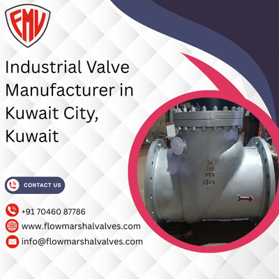 Industrial Valve Manufacturer in Kuwait City, Kuwait
